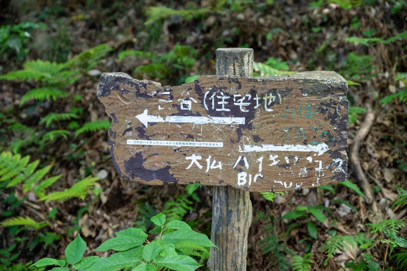 大仏ハイキングコースから佐助稲荷神社へ（2023-05-03）