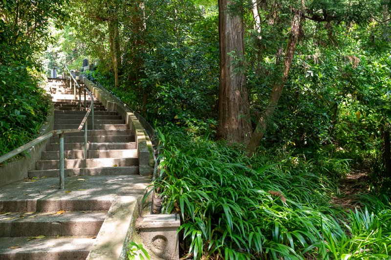 妙本寺（祖師堂左脇: 祇園山ハイキングコースに至る登山道: 2023-05-04）