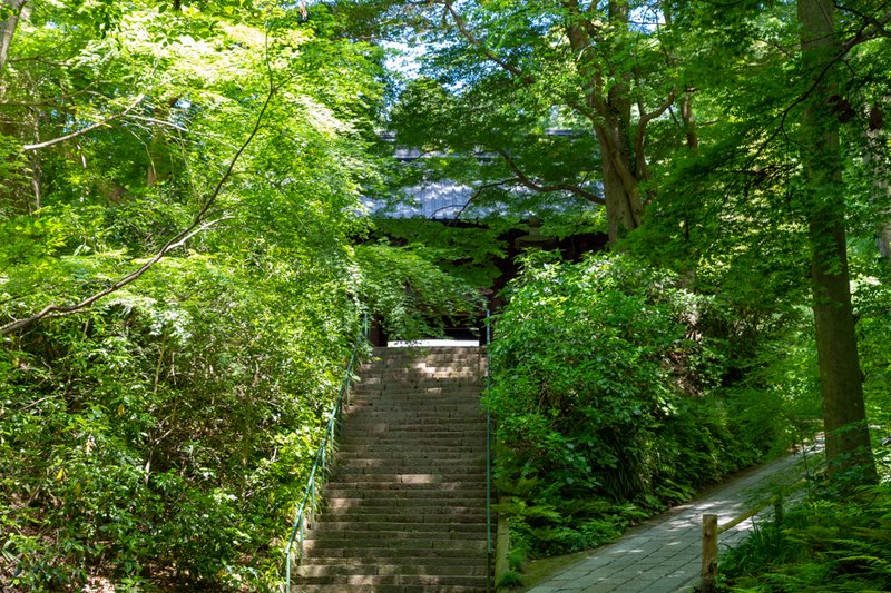 妙本寺，二天門へ続く石段（2023-05-04）