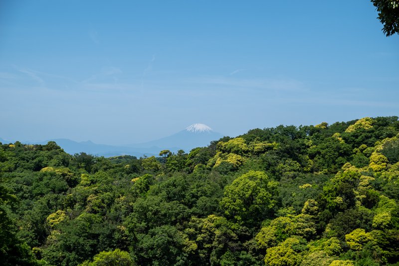 建長寺半僧坊大権現「見晴台」から望む富士山（2023-05-05）