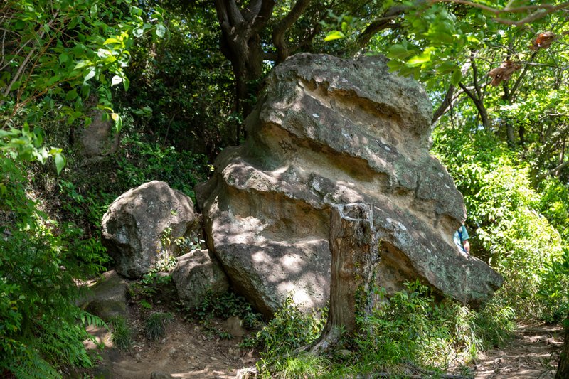 Pile of Poo Stone, 天園ハイキングコース（2023-05-05）
