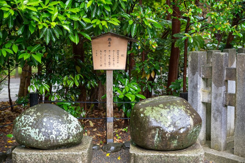 鶴亀石（2023-05-07）