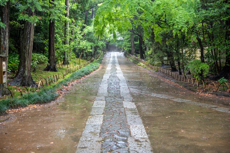 雨の寿福寺参道（2023-05-07）