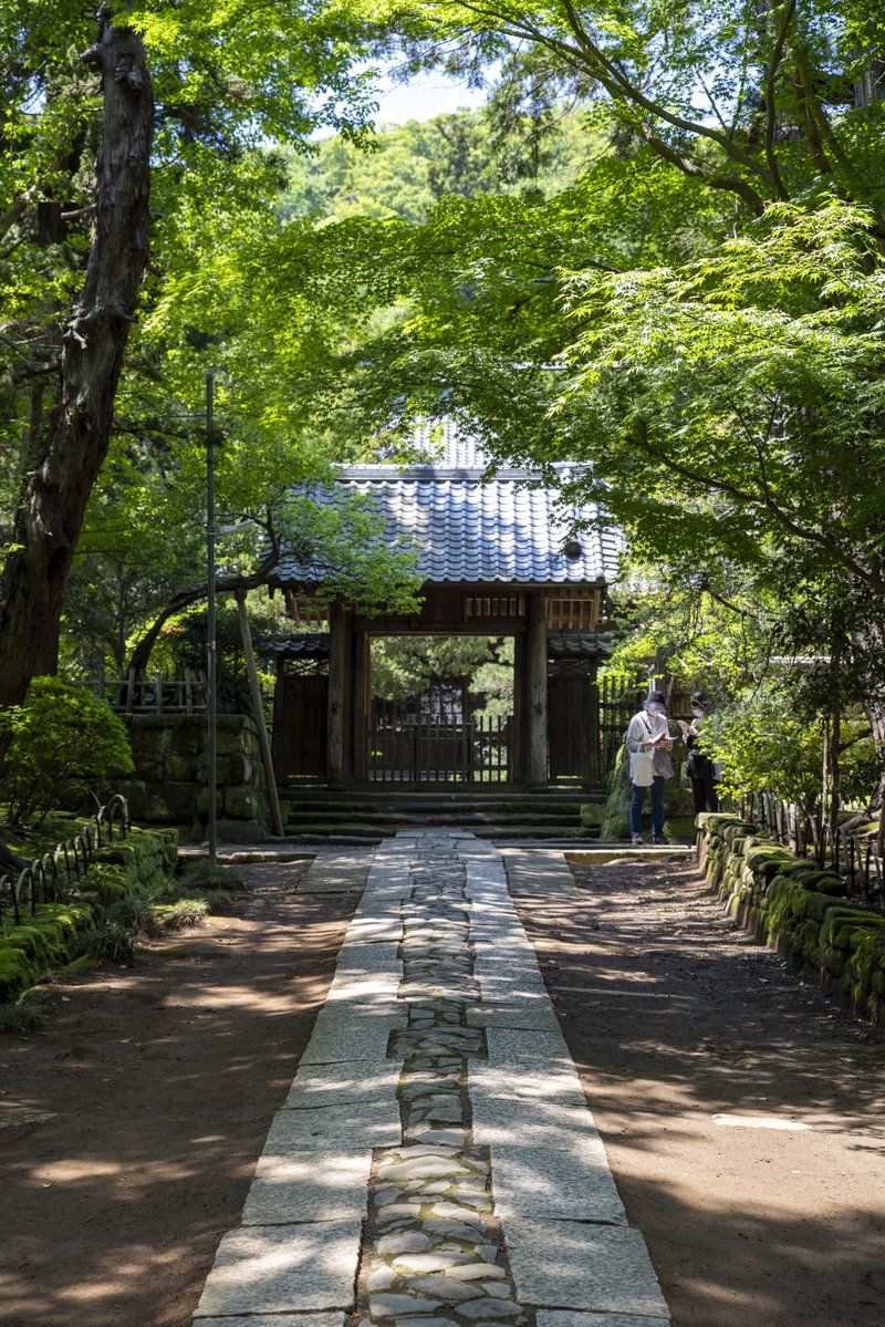 寿福寺参道石畳（2022-05-03）