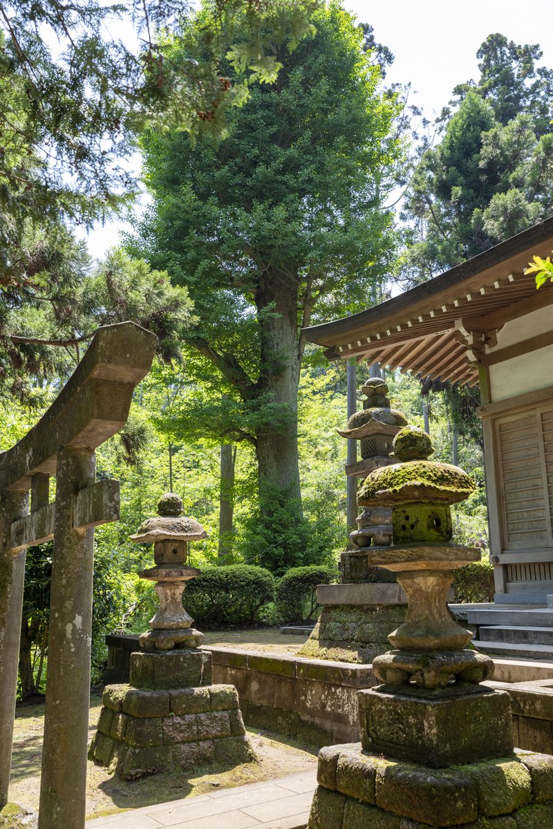 熊野神社（2022-05-04）