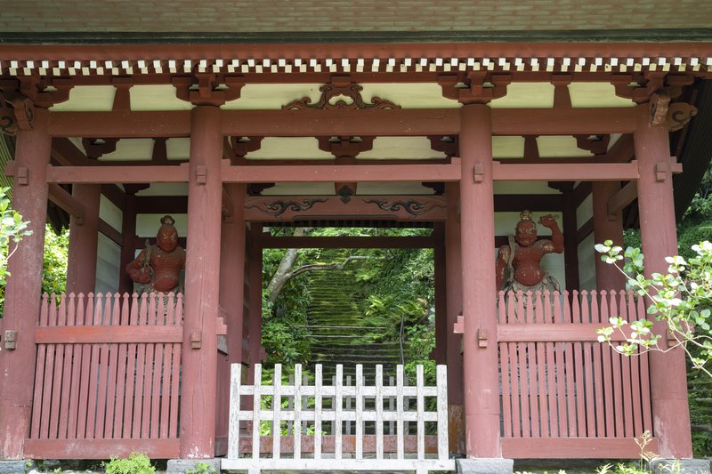 妙法寺 仁王門と苔の石段（2022-05-05）